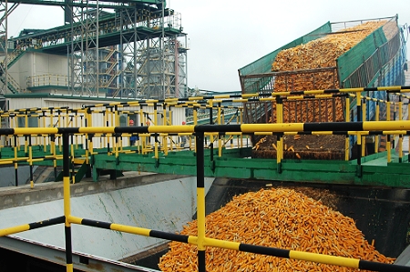 敦煌種業(yè)先鋒良種有限公司酒泉種子加工廠三、四期工程竣工投產(chǎn)